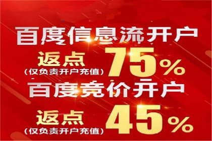 百度竞价排名：企业营销新利器案例分析